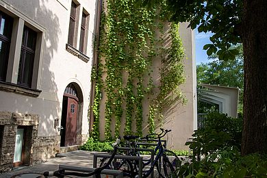 An der Fassade des Inklusionshotels hängen grüne Ranken herab.